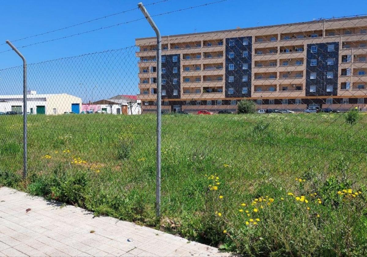 Obligan a mantener limpias parcelas y solares sin urbanizar en Almendralejo