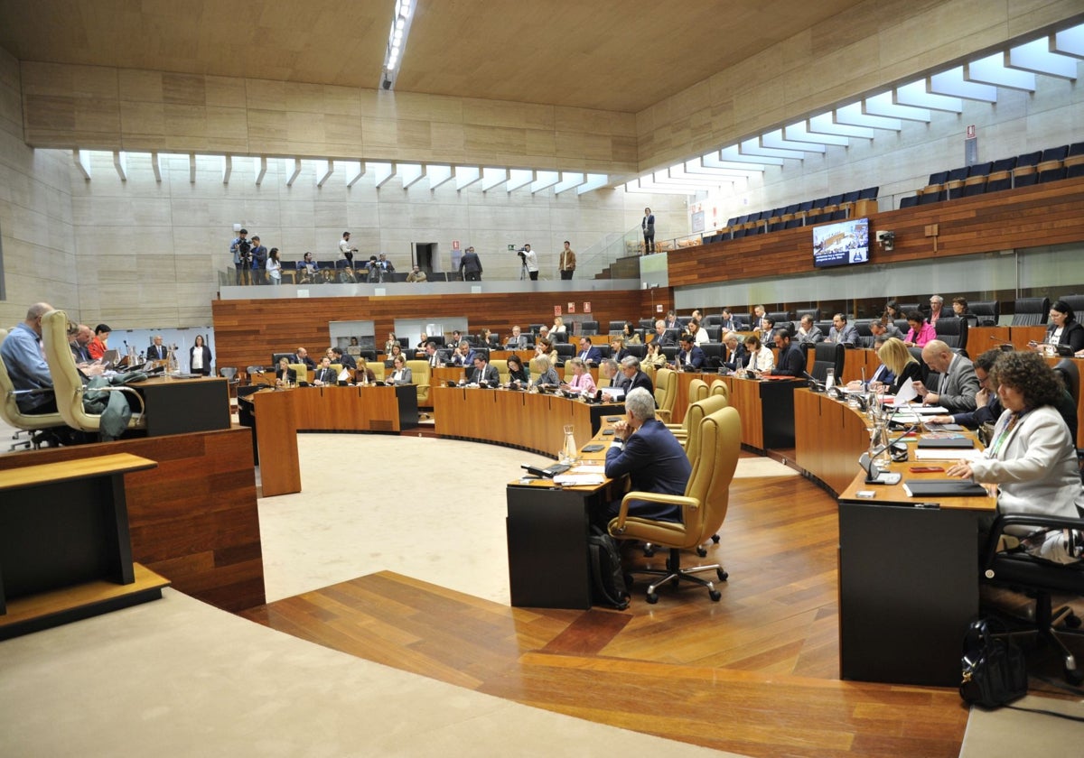 La sostenibilidad del sistema sanitario tensa el debate en la Asamblea de Extremadura