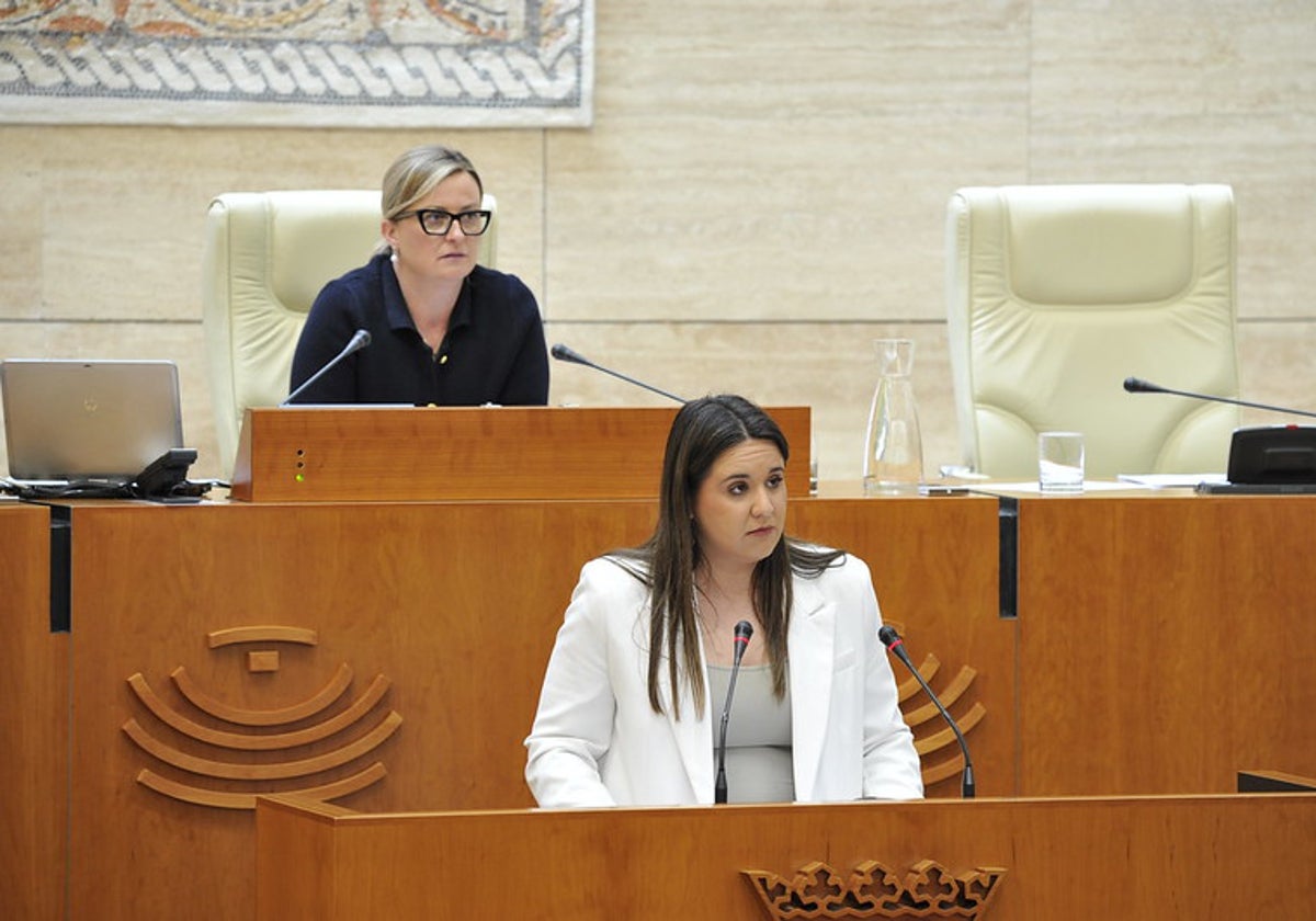 El PSOE saca adelante una propuesta en favor de la infancia con el apoyo de Vox y Podemos