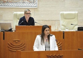 La diputada socialista Fátima Torrado ha defendido la propuesta en la Asamblea.