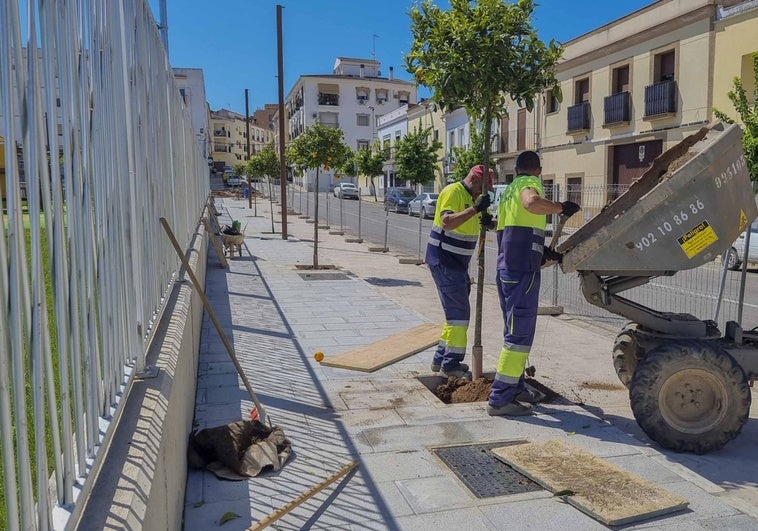 Las obras que aguardan en Mérida