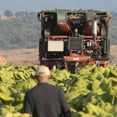 La Junta destaca la formación para favorecer el relevo generacional en el medio rural