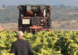 La Junta destaca la formación para favorecer el relevo generacional en el medio rural