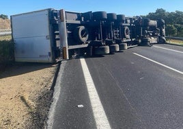 El camión ha quedado tendido ocupando los dos carriles de la calzada.
