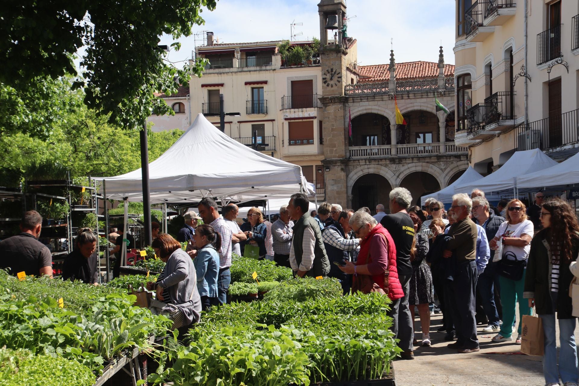 Mercado de Plasencia este martes.