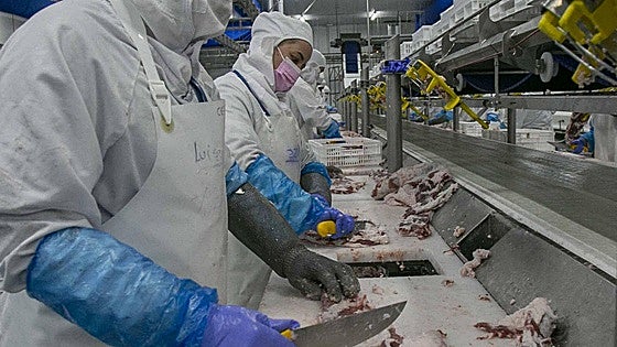 La industria cárnica estima en 190 millones sus pérdidas por el apagón