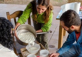 Este es el programa de la Feria del Queso de Trujillo 2025