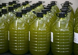 Aceite envasado en la pasada campaña.