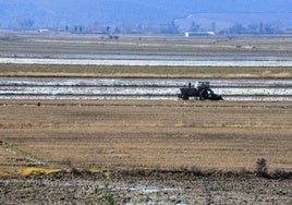 Imagen de archivo de un tractor en un arrozal en Palazuelo.