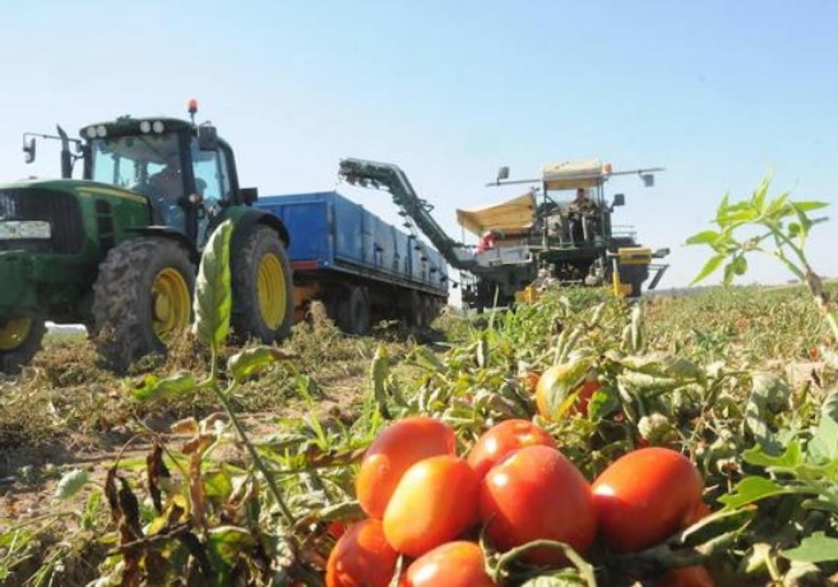 Cerca de 600.000 agricultores y ganaderos podrán solicitar las ayudas de la PAC hasta 31 de mayo
