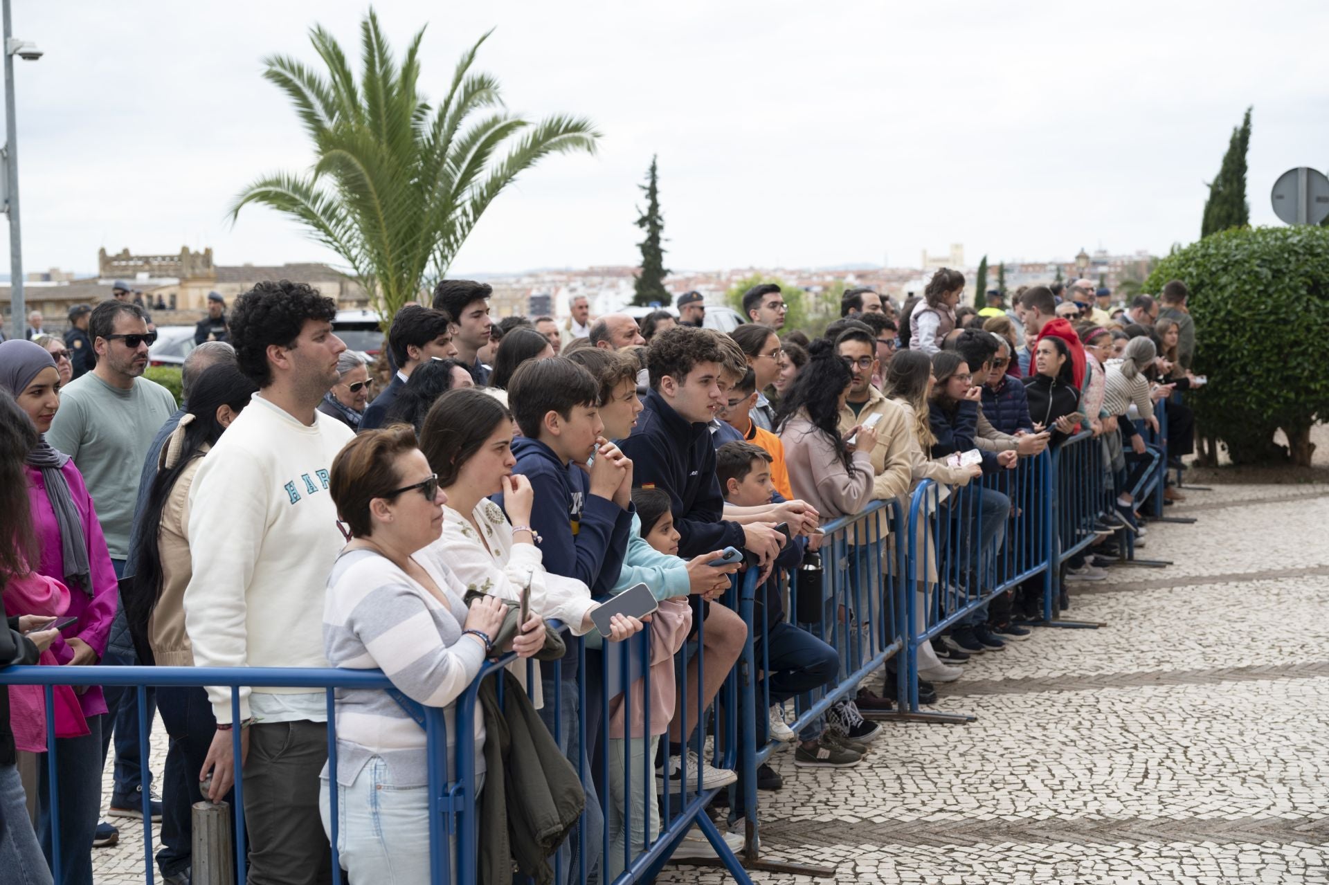 Fotos | El Rey Felipe VI inaugura la Sala Tarteso