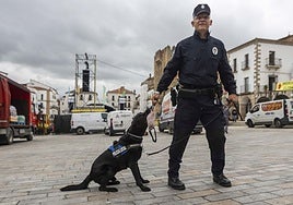 Julio Bejarano junto a Thor, este jueves en la Plaza Mayor de Cáceres, que acoge desde esta tarde el Womad.
