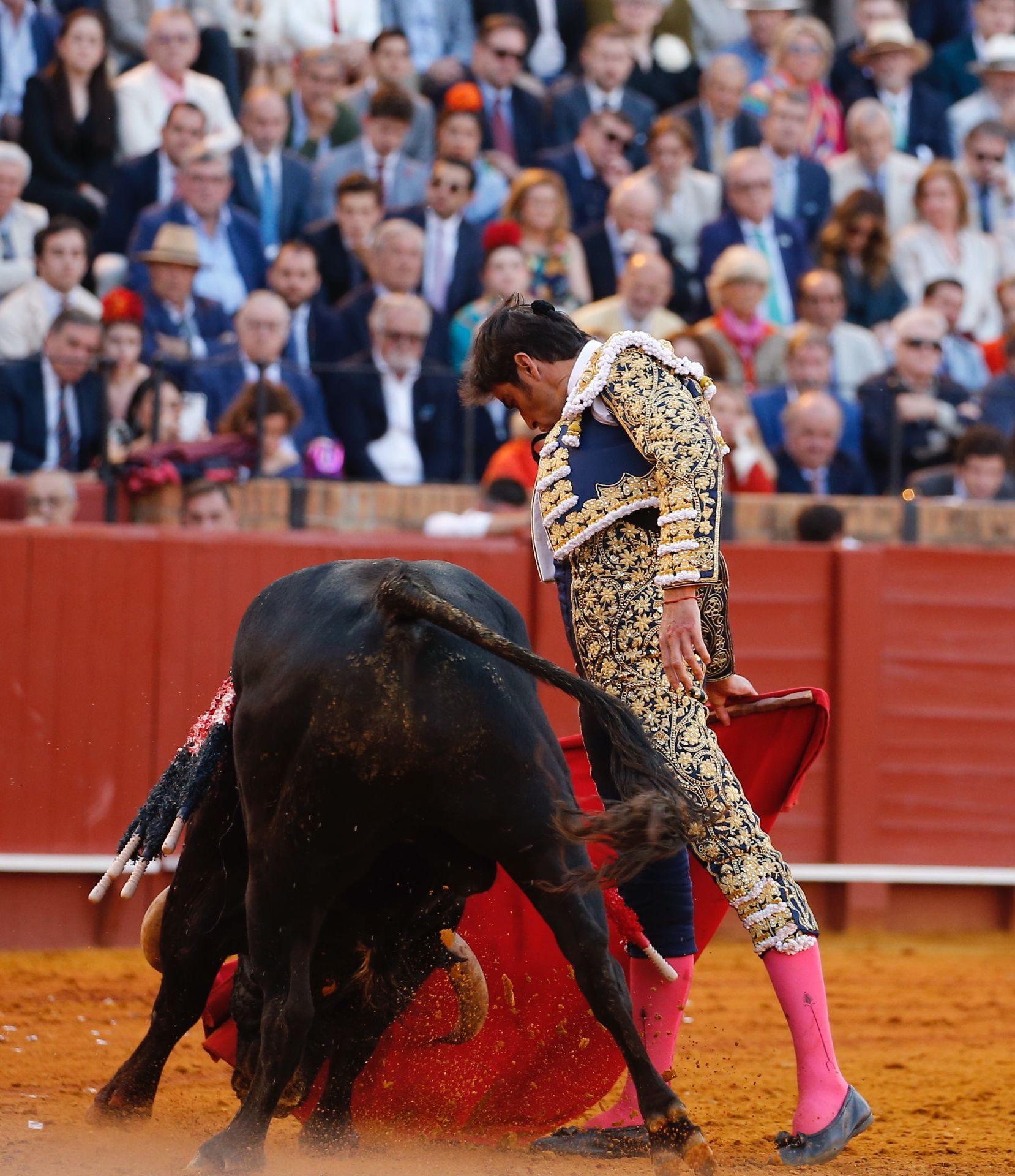 Las mejores imágenes del festejo con Perera, Roca Rey y Juan Ortega