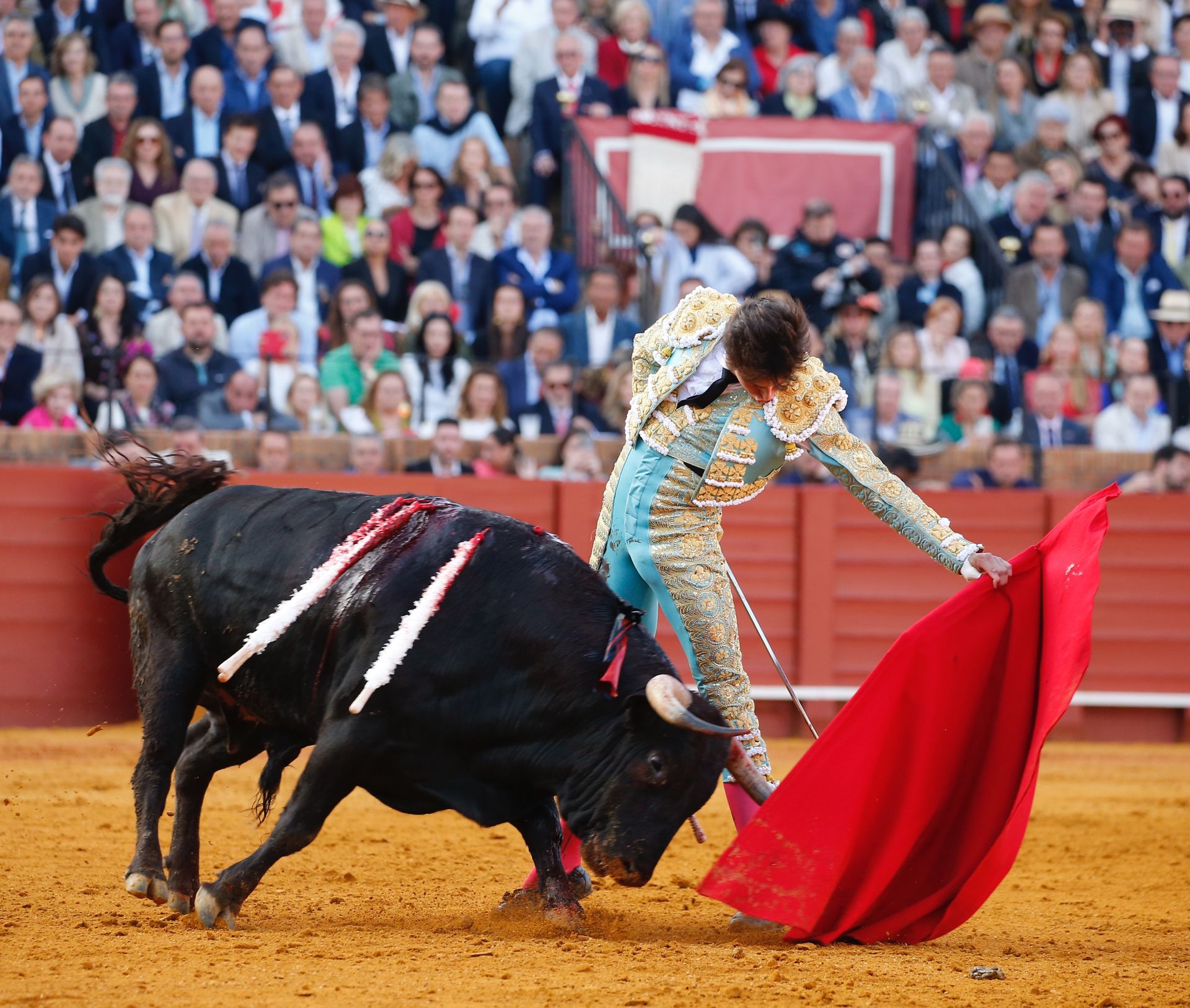 Las mejores imágenes del festejo con Perera, Roca Rey y Juan Ortega