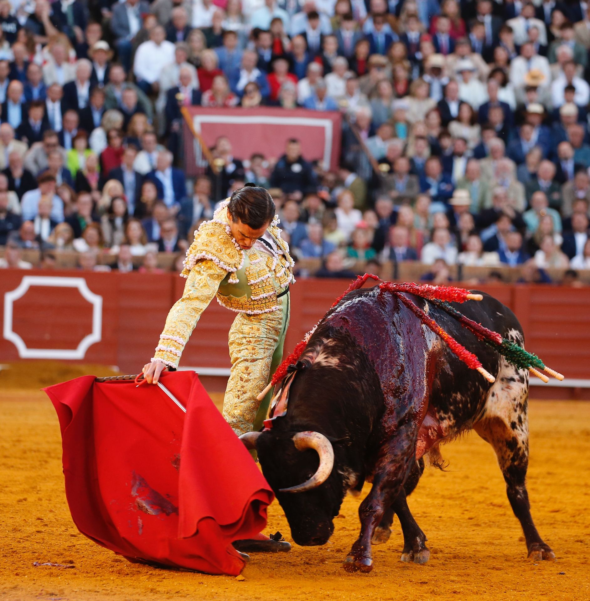 Las mejores imágenes del festejo con Perera, Roca Rey y Juan Ortega