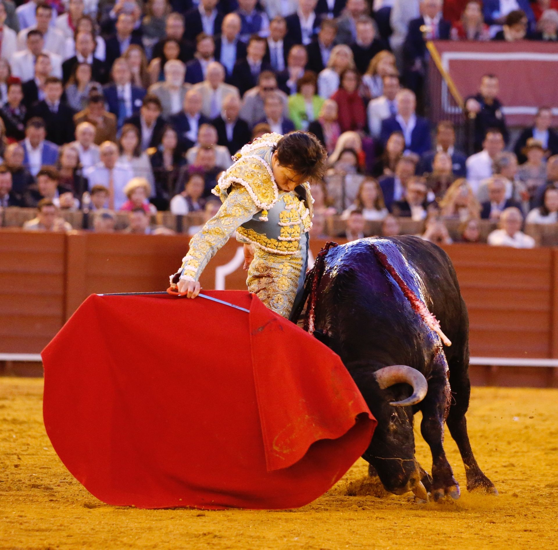 Las mejores imágenes del festejo con Perera, Roca Rey y Juan Ortega