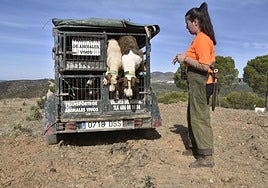 La mujer va ganando presencia en el sector cinegético de forma paulatina desde hace años.