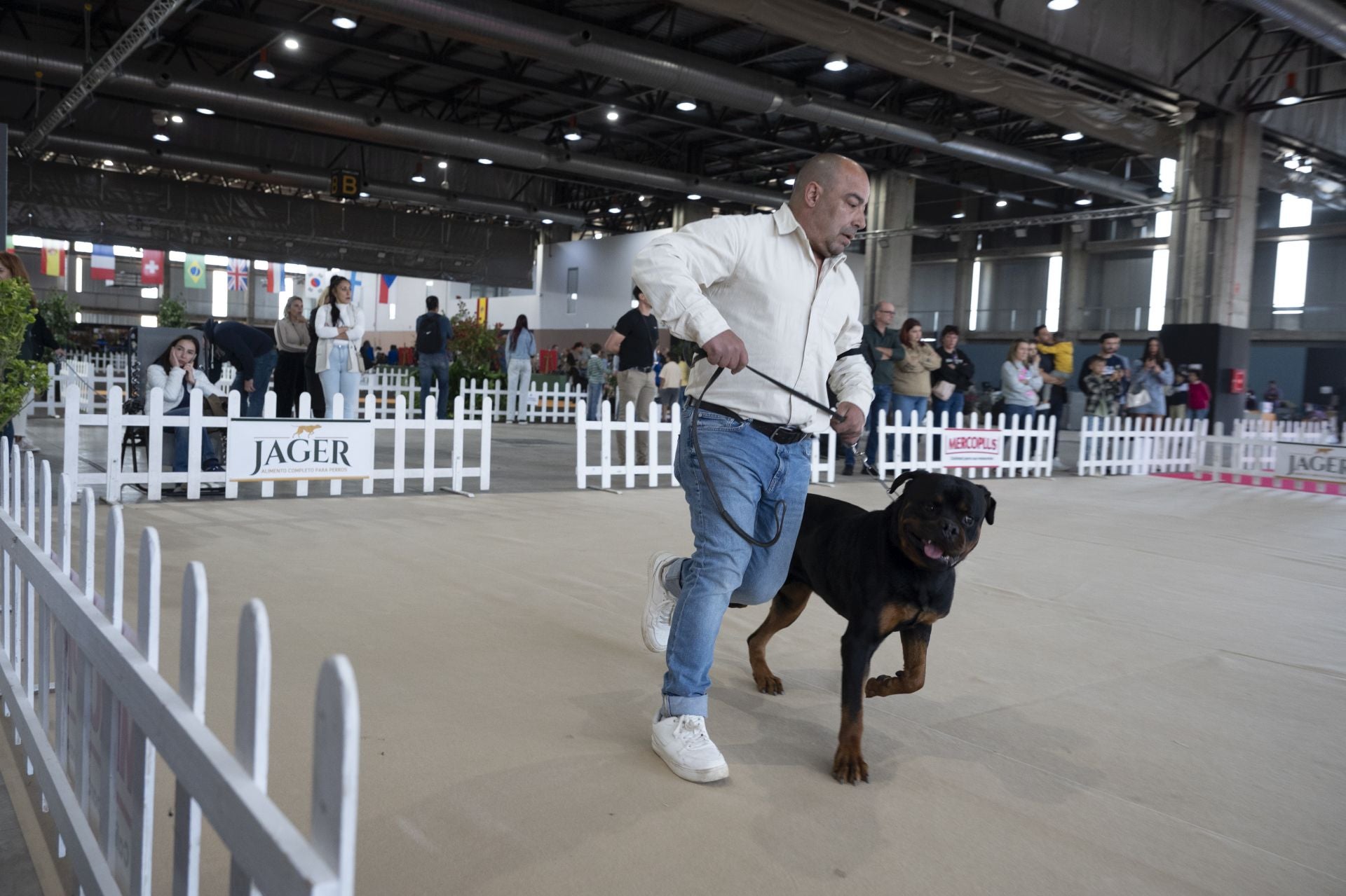 Las mejores imágenes de la Exposición Canina Internacional en Ifeba