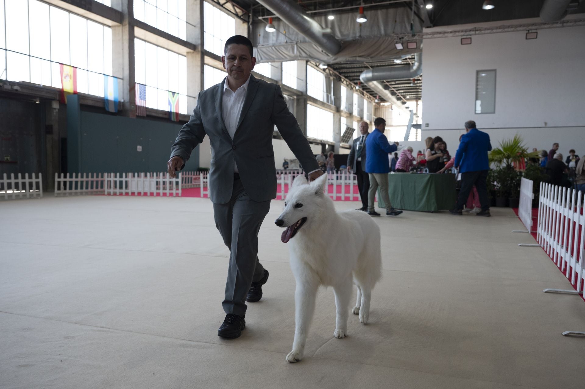 Las mejores imágenes de la Exposición Canina Internacional en Ifeba
