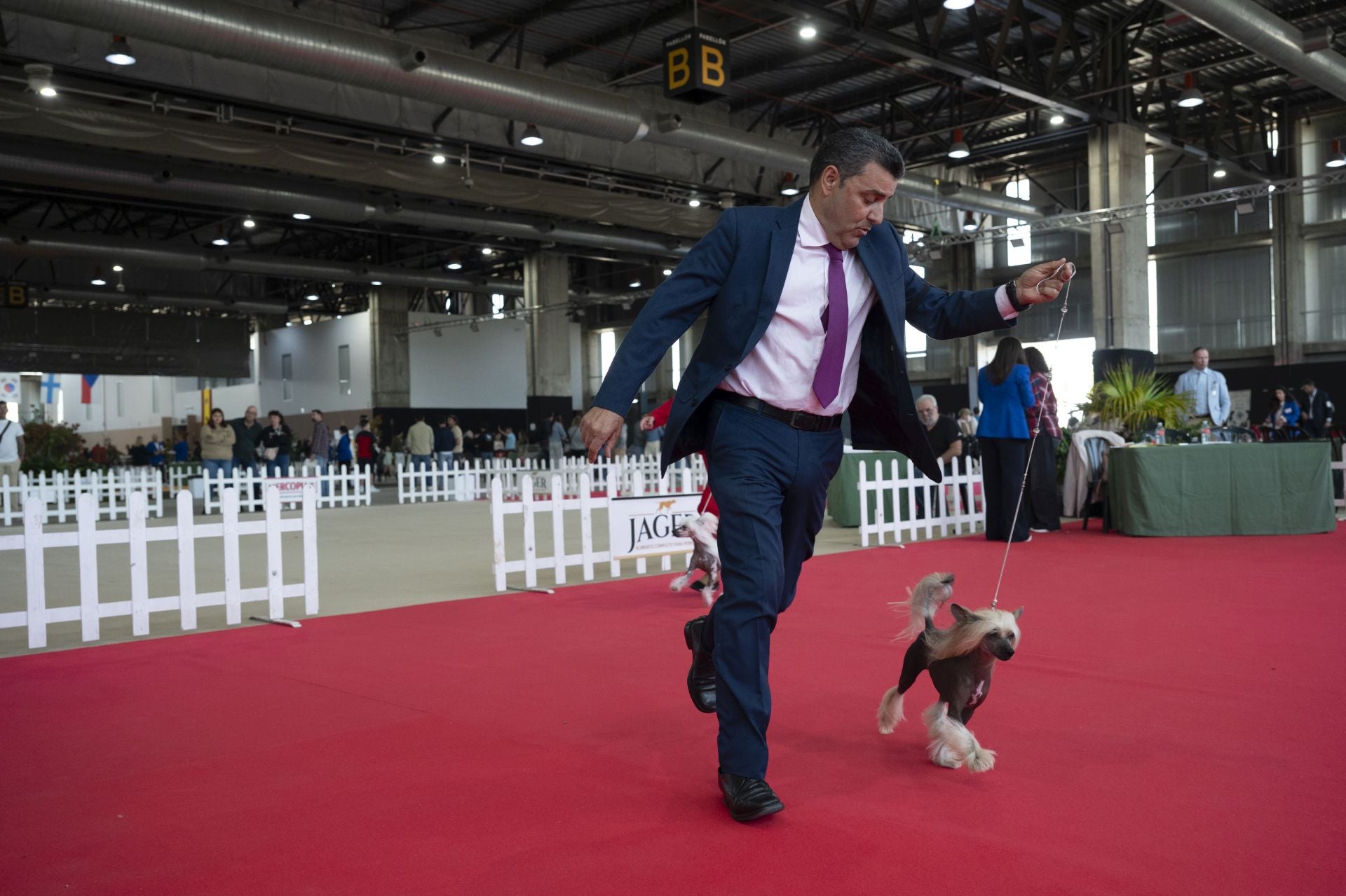 Las mejores imágenes de la Exposición Canina Internacional en Ifeba