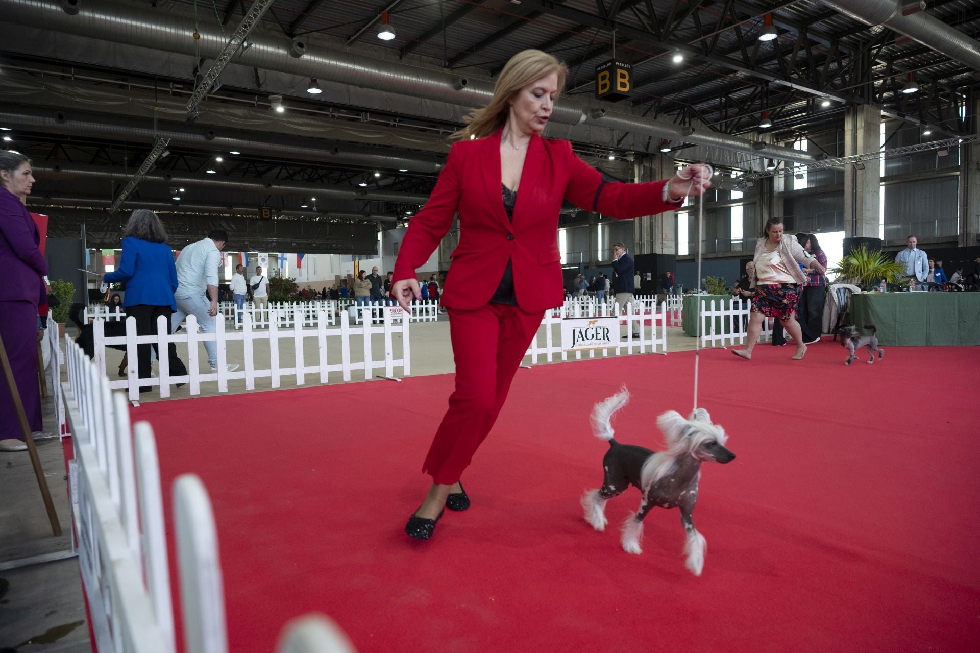Las mejores imágenes de la Exposición Canina Internacional en Ifeba