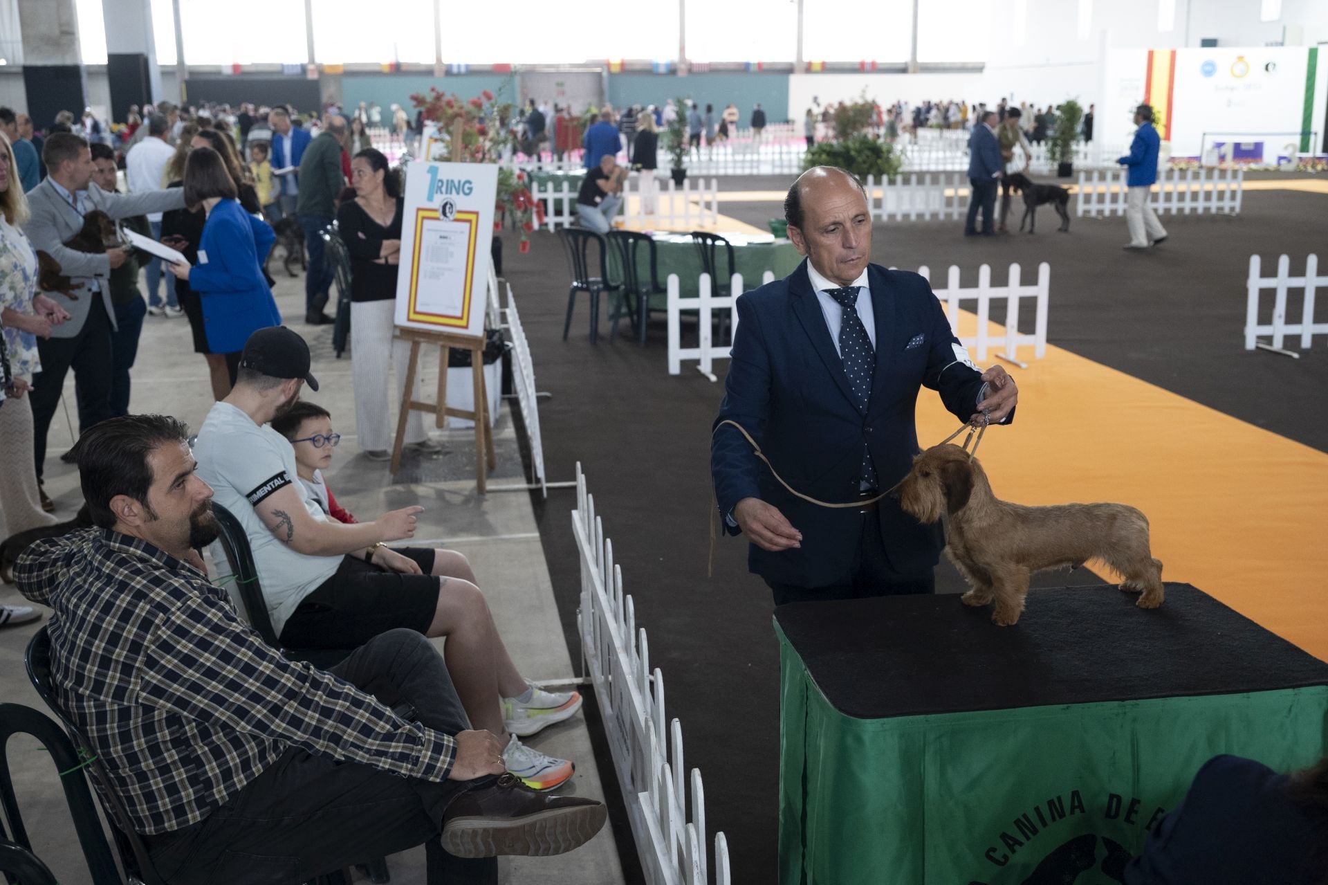 Las mejores imágenes de la Exposición Canina Internacional en Ifeba