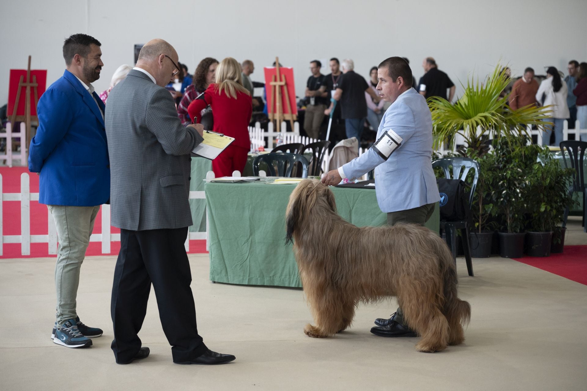 Las mejores imágenes de la Exposición Canina Internacional en Ifeba