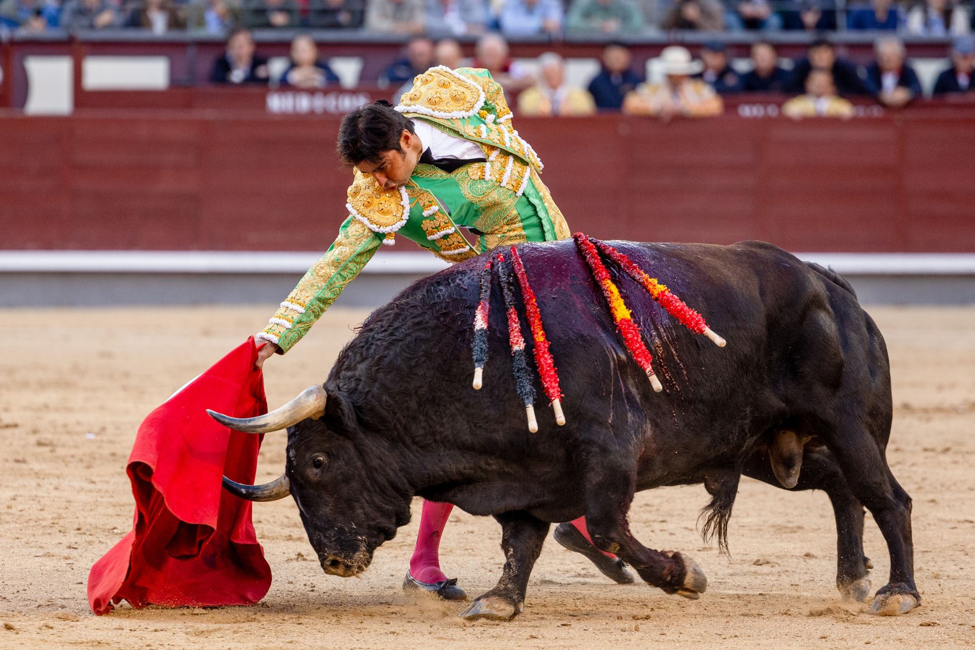Perera, competente y mandón, brillante con un excelente toro de Fuente Ymbro