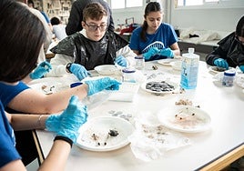 Los alumnos fabricando las monedas en clase.