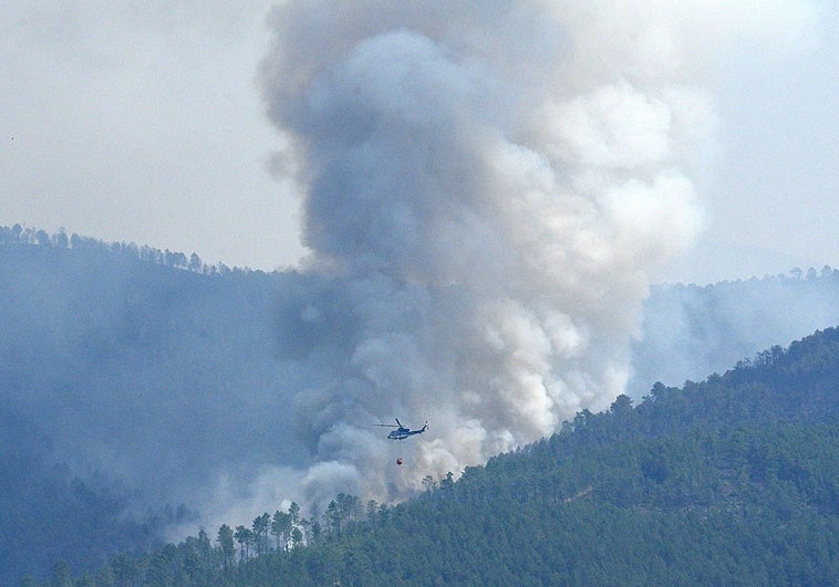La Junta establece la época de peligro alto de incendios forestales del Plan Infoex en 2025