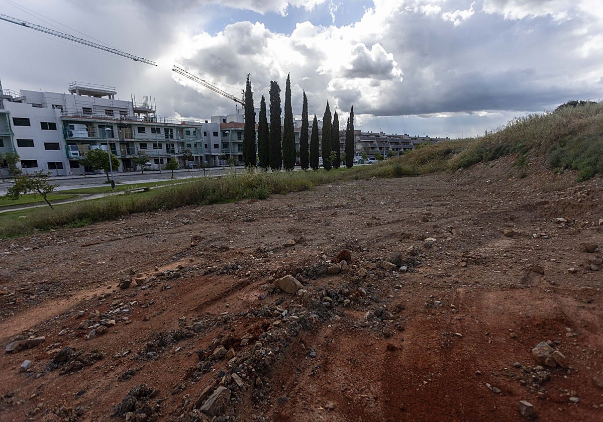 Terrenos municipales que salen a subasta en la calle José Arcadio Buendía.
