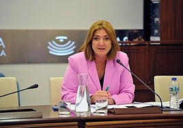 La secretaria general de Educación, Pilar Pérez, en la Asamblea.