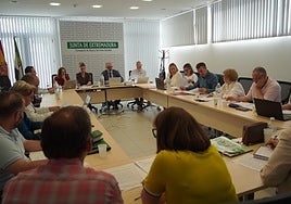 Mesa sectorial de sanidad en la que se han analizado los nuevos cambios.