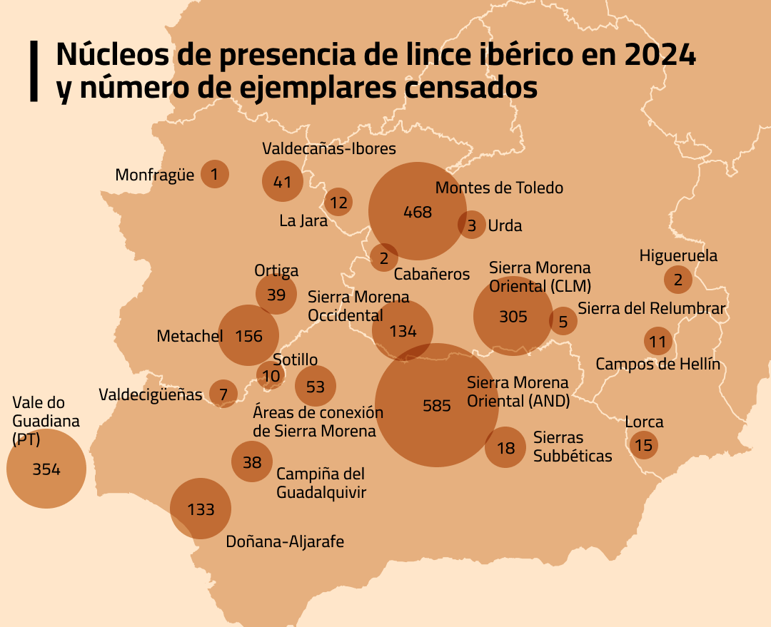 Núcleos de presencia de lince ibérico en 2024 y número de ejemplares censados.