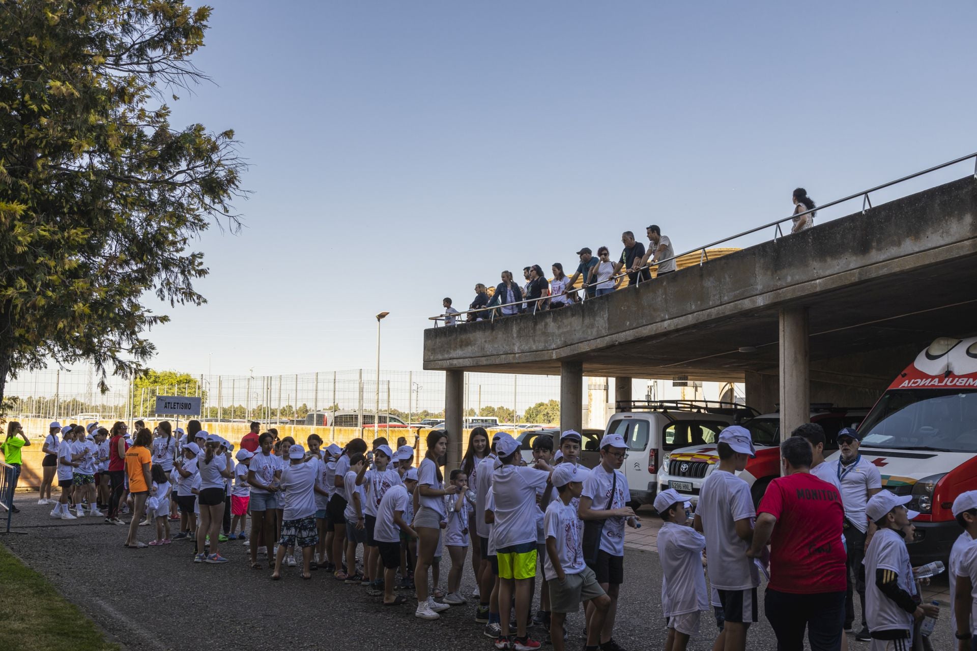 La clausura de las escuelas deportivas de la FMD, en imágenes