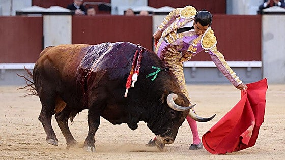 Confirmación prometedora de alternativa de Diego San Román