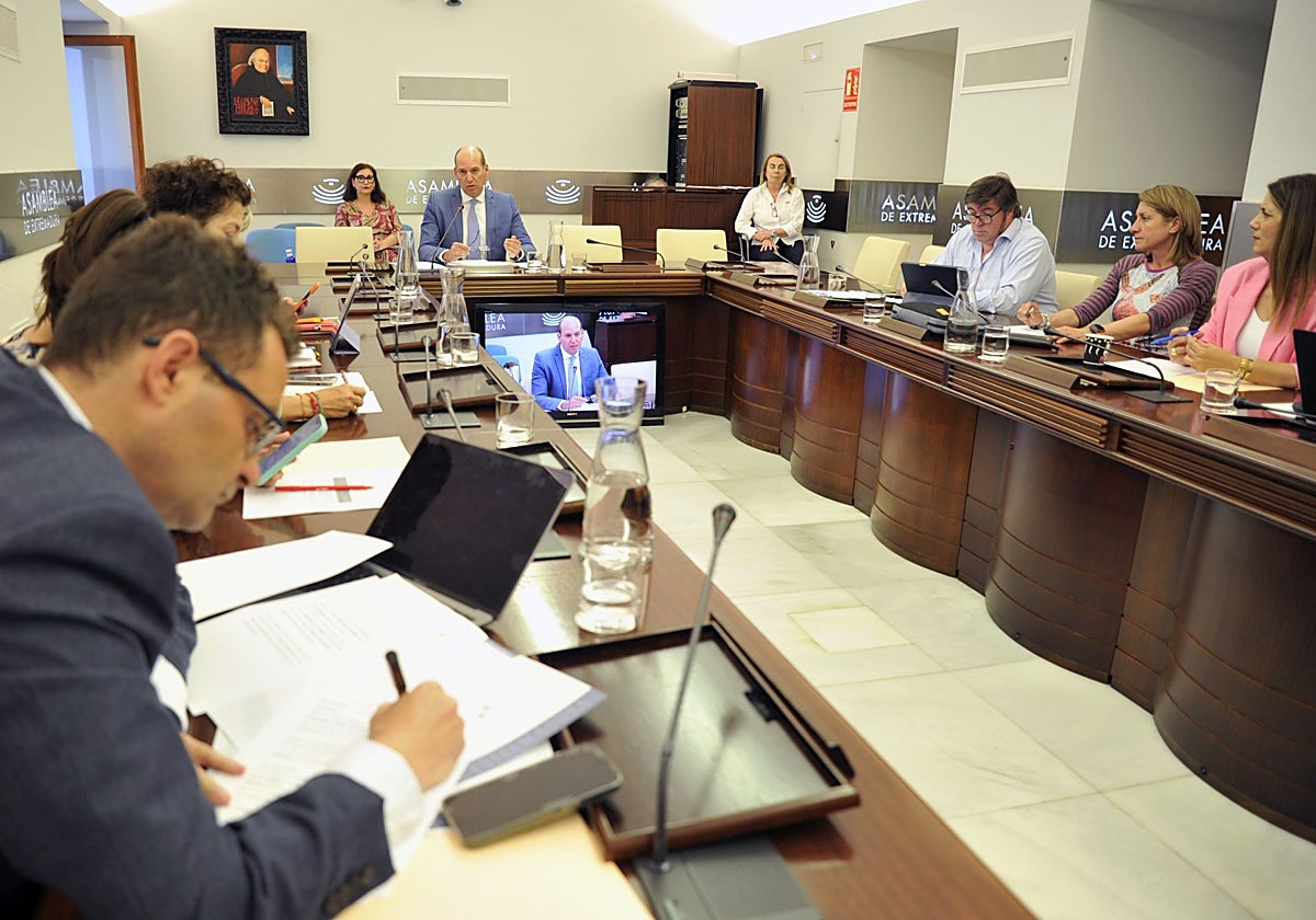 El secretario general de Presupuestos y Financiación de la Junta, Hernández Carrón, en la Comisión de Hacienda de la Asamblea de Extremadura.