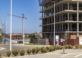 La nueva barriada de Distrito Rosales, que amplía Huerta Rosales por la carretera de Olivenza.