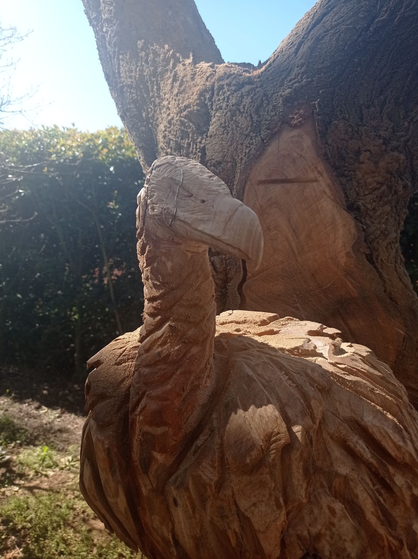 Fotos | Lupe Arévalo, campeona de talla con motosierra