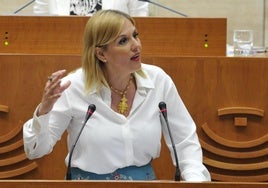 Intervención de la consejera de Hacienda, Elena Manzano, en la Asamblea este jueves.