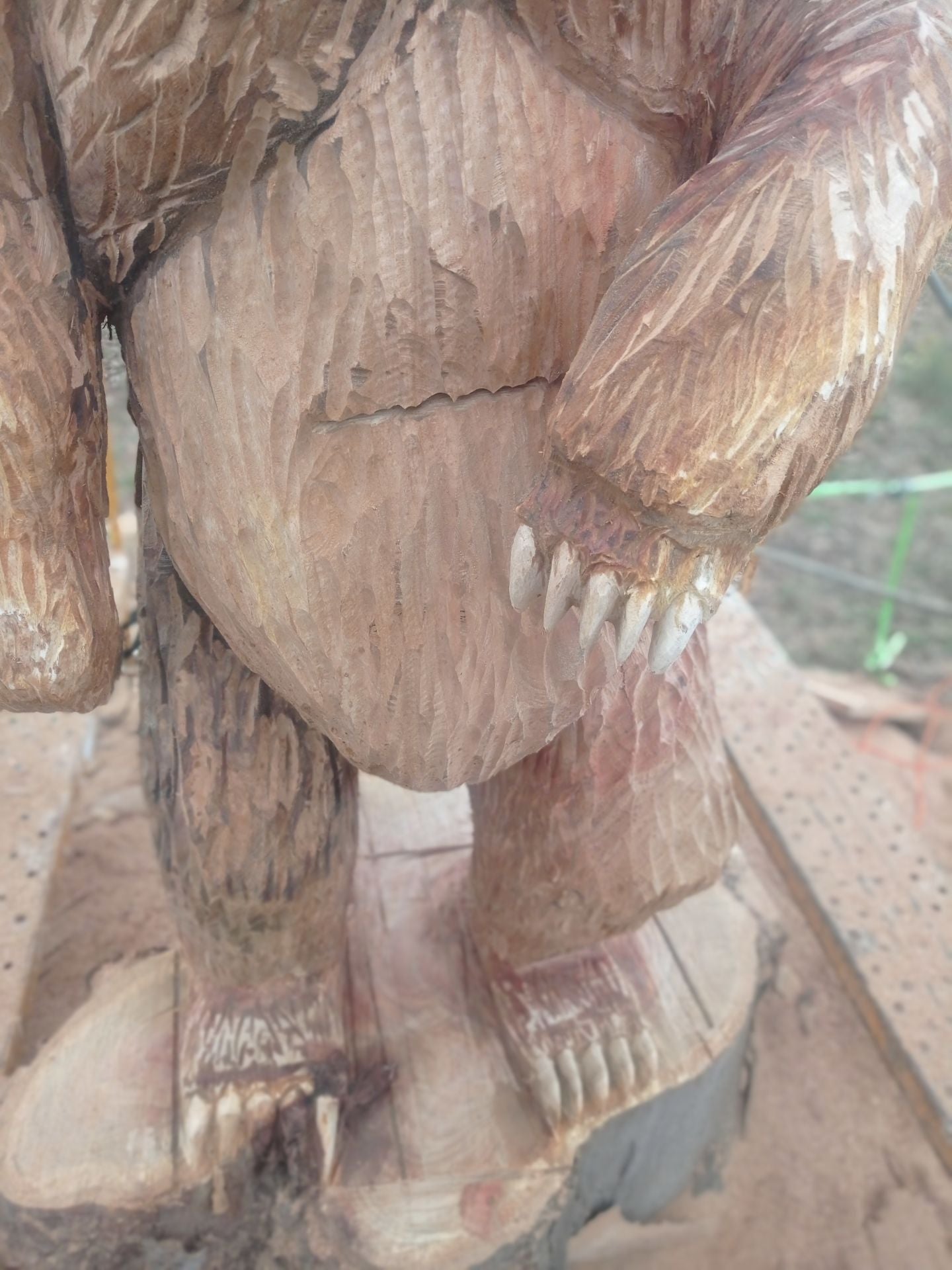 Fotos | Lupe Arévalo, campeona de talla con motosierra