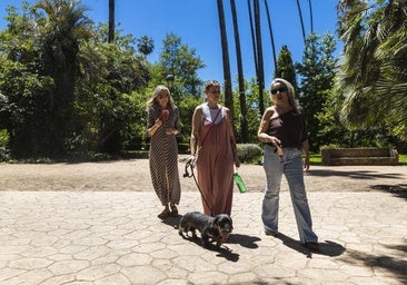 La Aemet activa la alerta por calor y tormentas secas en Extremadura