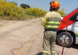 Efectivo del Infoex en el lugar donde se ha registrado el incendio en Madrigalejo.