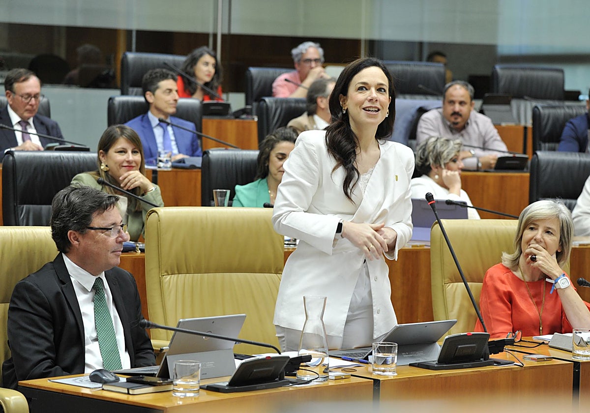 La consejera de Salud, Sara García Espada, en el pleno de la Asamblea celebrado este jueves.