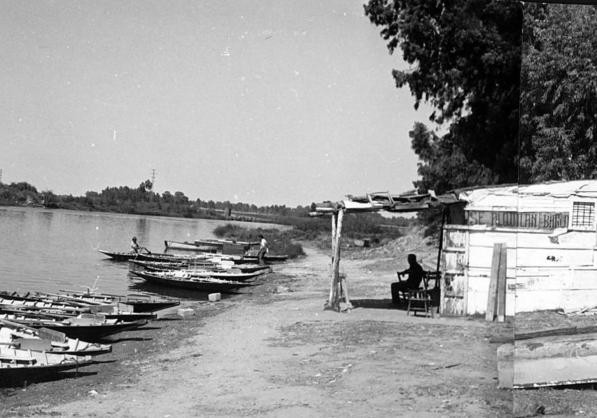 Imagen principal - Una caña con punta contra una barra de hierro