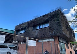 Aspecto actual del jardín vertical de la estación de autobuses de Cáceres .