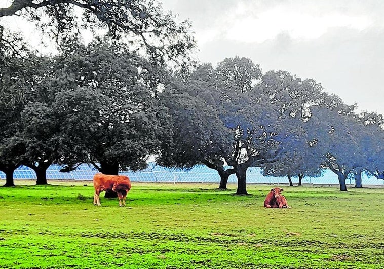 Luz verde ambiental al primer proyecto de almacenamiento energético de la región