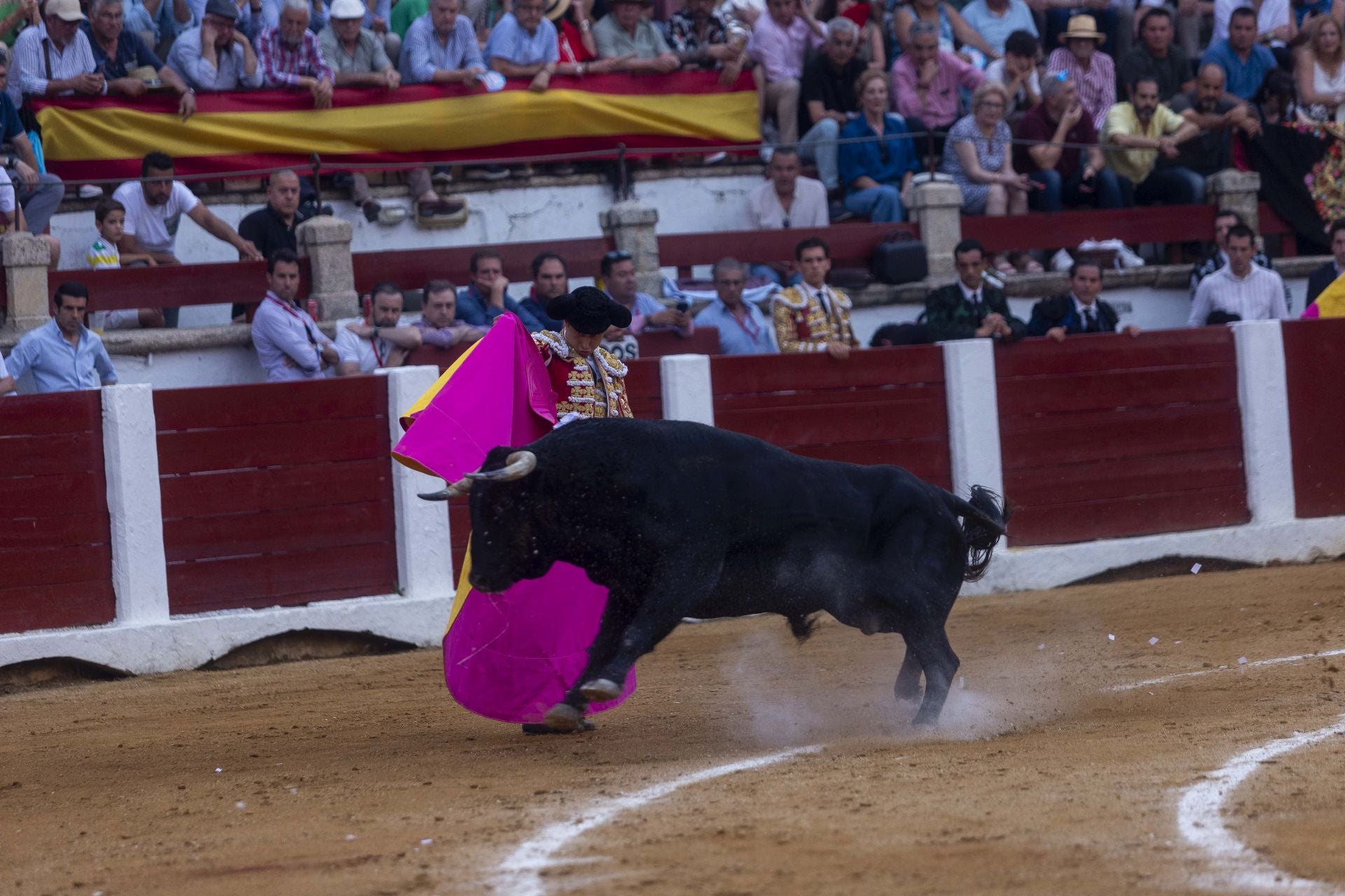 Fotos | Así ha sido el cierre de la Feria Taurina de Cácers con Ferrera, Roca y Marín