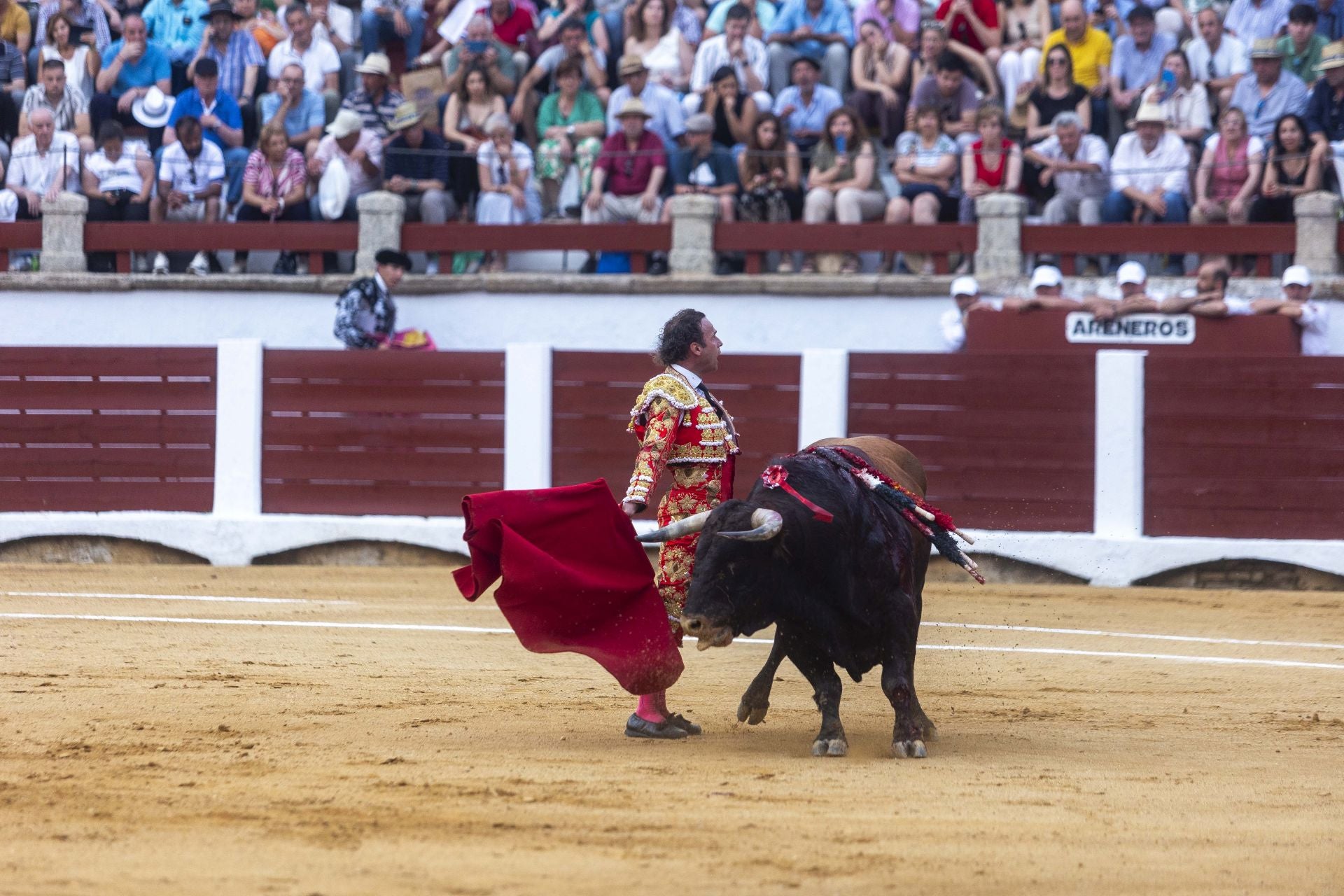 Fotos | Así ha sido el cierre de la Feria Taurina de Cácers con Ferrera, Roca y Marín