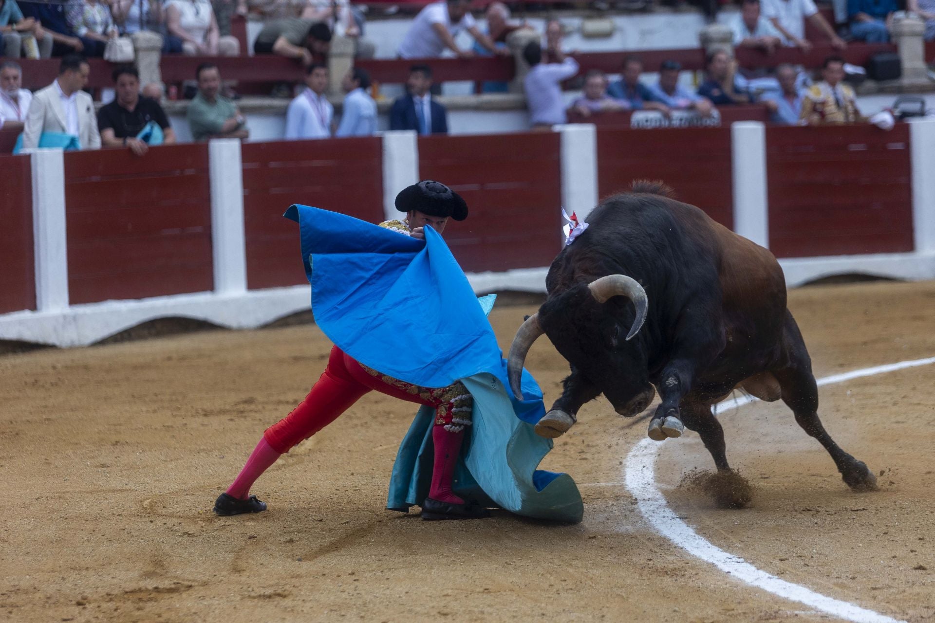Fotos | Así ha sido el cierre de la Feria Taurina de Cácers con Ferrera, Roca y Marín